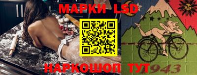 индика Жуковский
