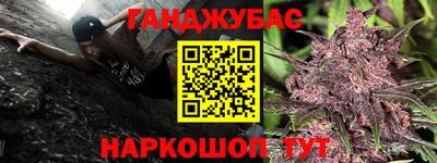 шишки Донской