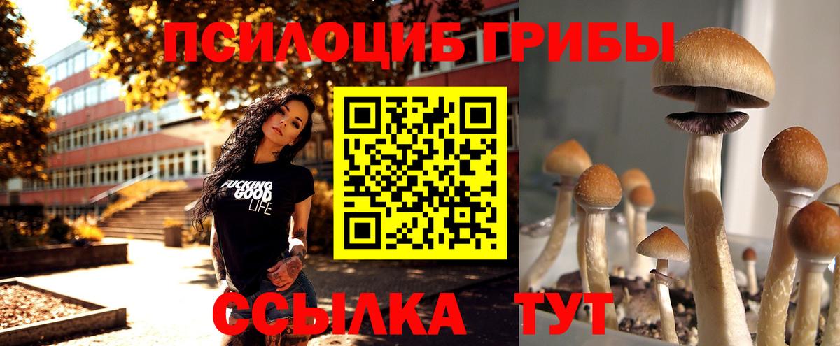 Псилоцибиновые грибы мухоморы Мариинск