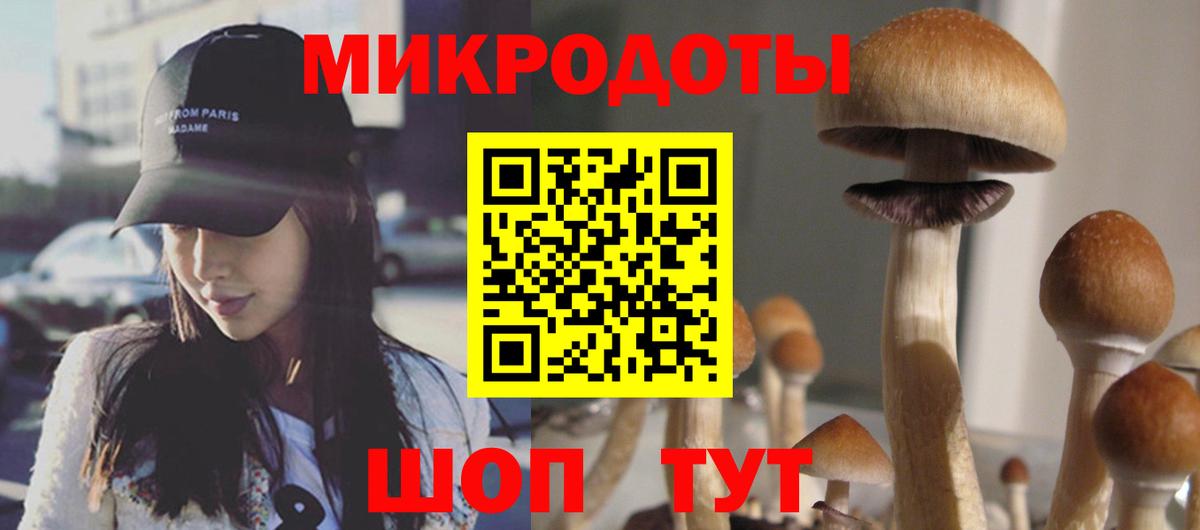 Мариинск  Галлюциногенные грибы Psilocybe  Псилоцибиновые грибы GOLDEN TEACHER  Вход с VPN 